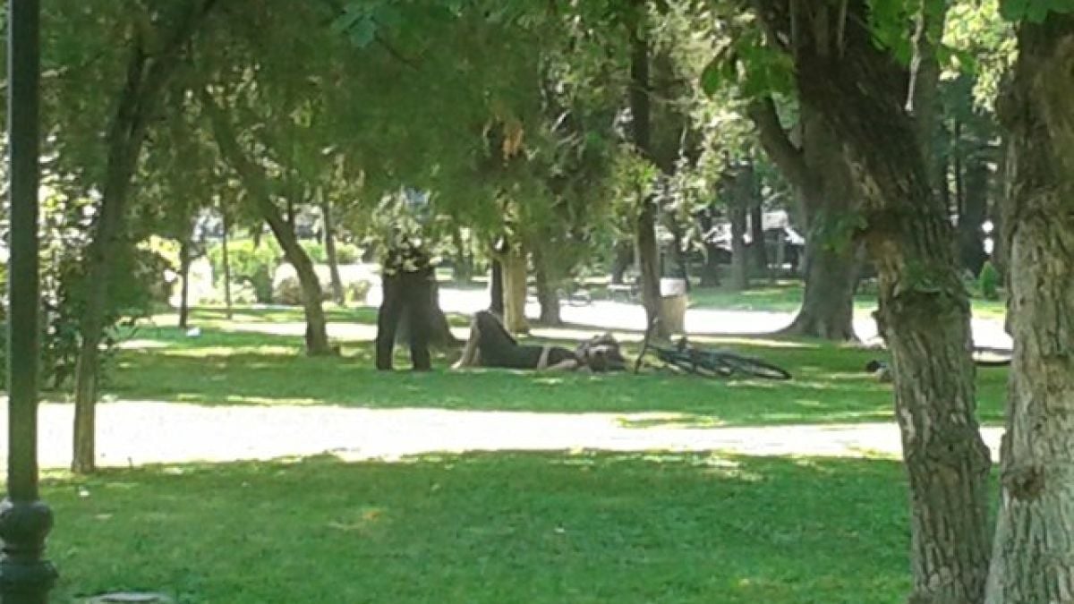 Влюбени полегнаха на тревата в пловдивска градинка, но не предполагаха какво ще им се случи (СНИМКИ)