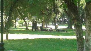 Влюбени полегнаха на тревата в пловдивска градинка, но не предполагаха какво ще им се случи (СНИМКИ)