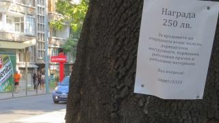 Куриозно! Американецът Пийт предлага награда на пловдивски апаши, ако му върнат откраднатото (СНИМКА)
