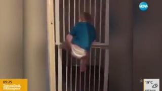 Това бебе изуми всички с акробатичните си умения (ВИДЕО)