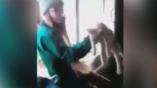 Жестоки ученички убиха зверски котка и излъчиха екзекуцията в мрежата (ВИДЕО)