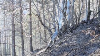 Битката с огненото бедствие в Хасковско продължава