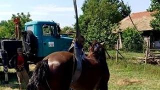 Уникална спасителна операция в Търговищко! Извадиха кон от тесен и дълбок...