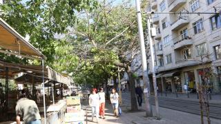 Фоторепортаж в БЛИЦ! На пл."Славейков" в столицата цъка страшна бомба