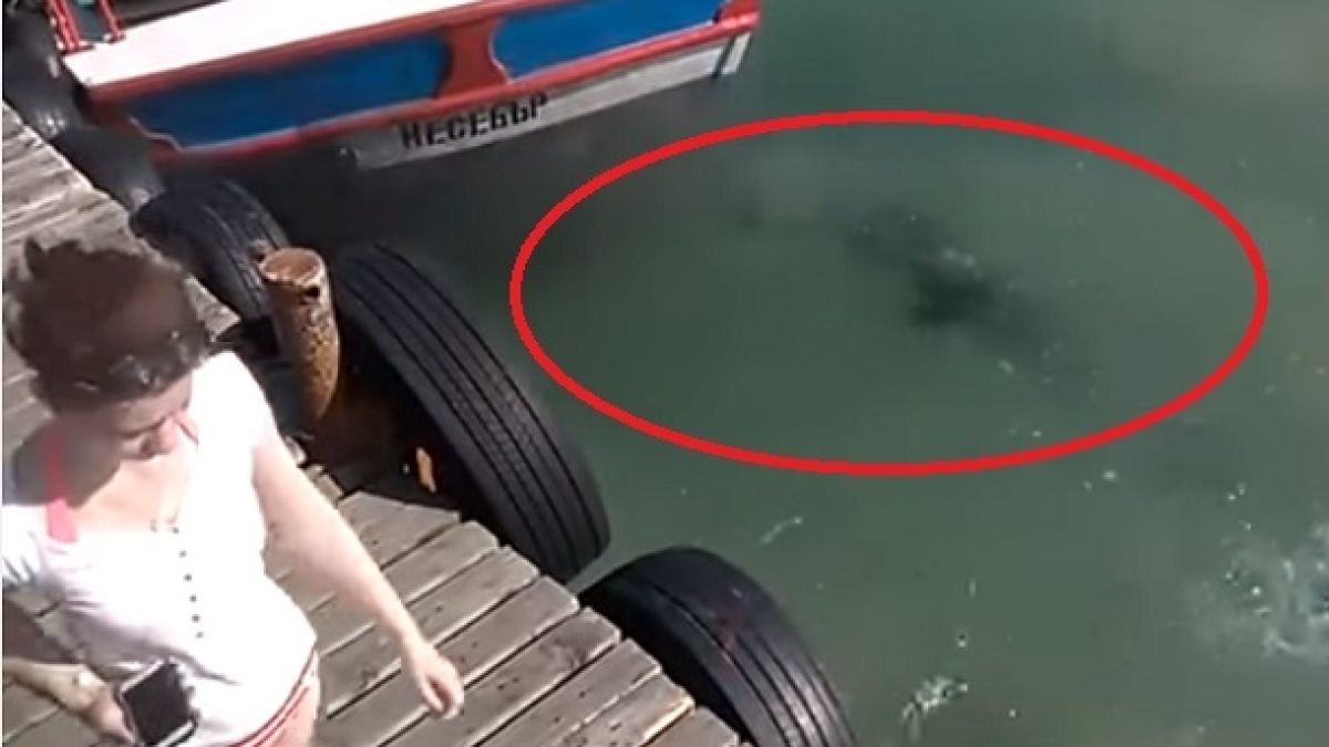 Перничанин засне нещо отвратително в морето между Слънчев бряг и Несебър (ВИДЕО)
