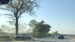 Две коли се удариха на пътя Пловдив – Асеновград (СНИМКИ)