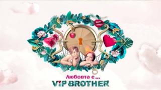 Първо в БЛИЦ! Чалга фурия влиза в къщата на "ВИП Брадър" и определено няма да е скучно с нея