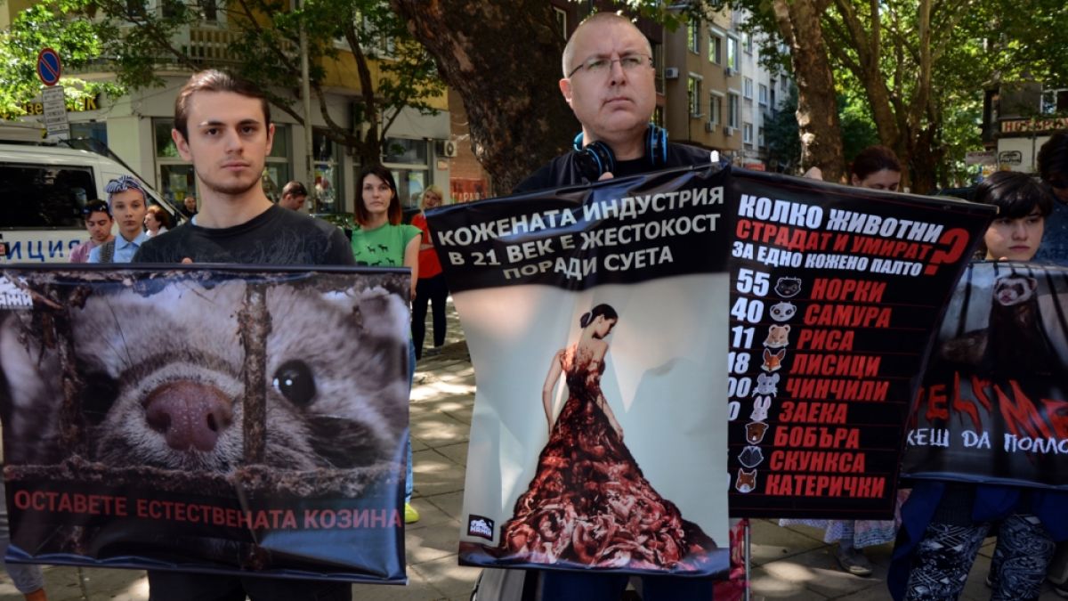 Фоторепортаж в БЛИЦ! Скандални плакати на протест пред земеделското министерство (ВИДЕО)