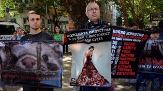 Фоторепортаж в БЛИЦ! Скандални плакати на протест пред земеделското министерство (ВИДЕО)