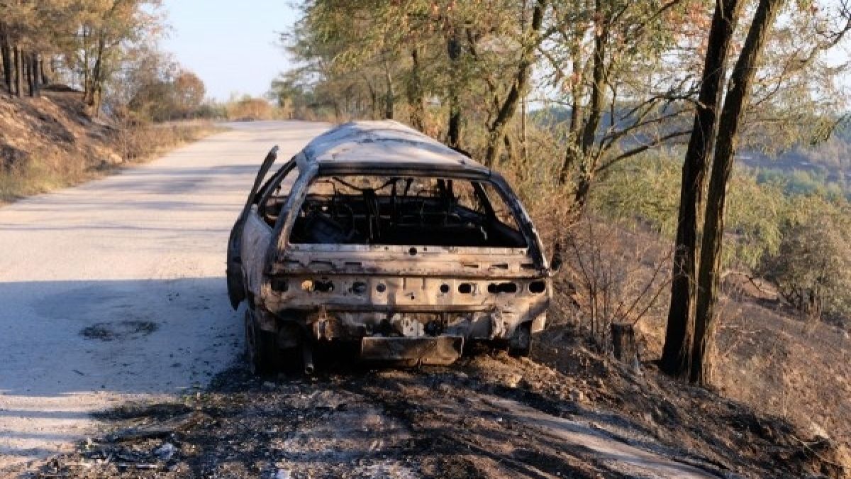 След овладяването на пожарът в Кресна: Жителите могат да се похвалят и с... 