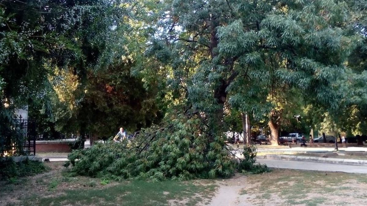 Не само в София, но и във Варна дебне голяма опасност (СНИМКИ)