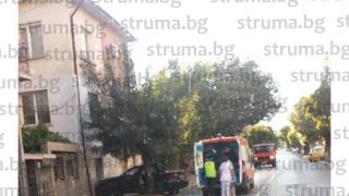 Синът на страшилището на Югозапада Златистия върши поразии наред! Секси майка му обра пешкира за последната (СНИМКИ)