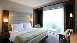 Тези растения в дома носят безпаричие и нещастие, махнете ги