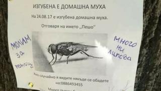 Народът откачи: В Благоевград се сгъват от смях, когато четат тази обява