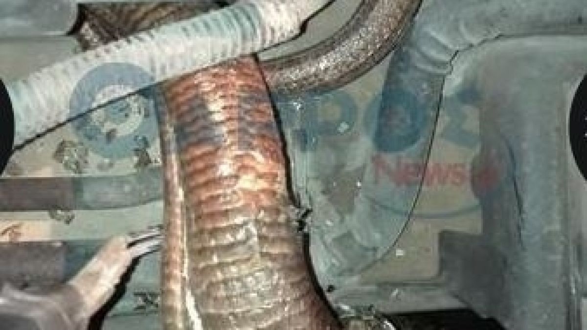 Автомонтьори повдигнаха капака на повредена кола и останаха втрещени от гледката, която се разкри пред очите им (СНИМКИ)