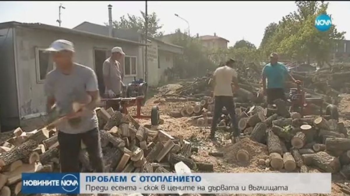 ПРЕДИ ЕСЕНТА: Скок в цените на дървата и въглищата (ВИДЕО)