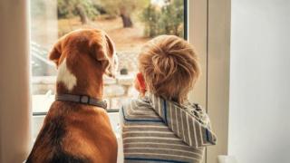 Ще се разплачете! 3-годишно дете прати писмо на мъртвото си куче, няма да повярвате какво се случи после!
