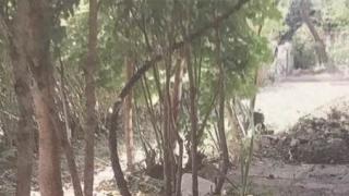 Наглост на пъпа на София: Бизнесмен унищожи градинка, за да има къде да...