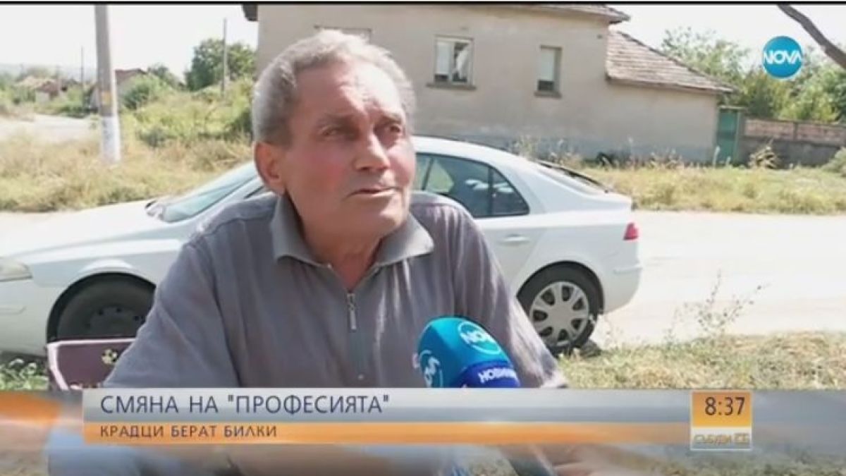 Нова страшна далавера в България: Крадци смениха професията - берат билки и... (ВИДЕО)