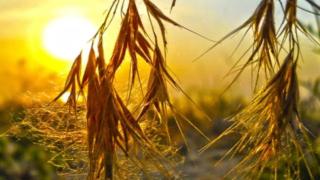 Седмицата започва с много слънце и жега, но ще ни връхлетят ли свирепите бури от Сърбия, Румъния и Хърватия 