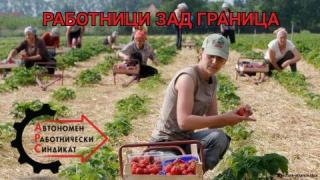 Инспекцията по труда предупреждава: Голяма тесла за българите в Чехия и Германия, Словения и Словакия 