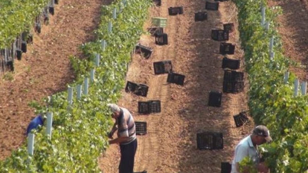 Семейство в Сандански нае работници, но ги чакаше голяма изненада