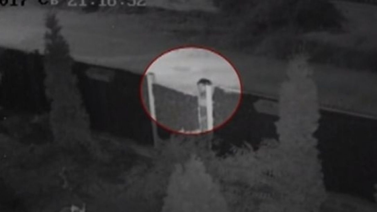 Тийнейджър с присъди и десетки регистрации е заподозрян за наглата кражба в „Овча купел”