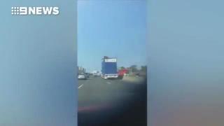 Любопитна крава за малко да се обезглави на пътен знак (ВИДЕО)