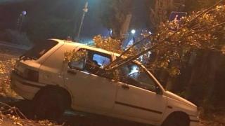 Падение! Силната буря донесе голямо нещастие на бургазлия, смелчаци в мрежата се гаврят със загубата (СНИМКИ)