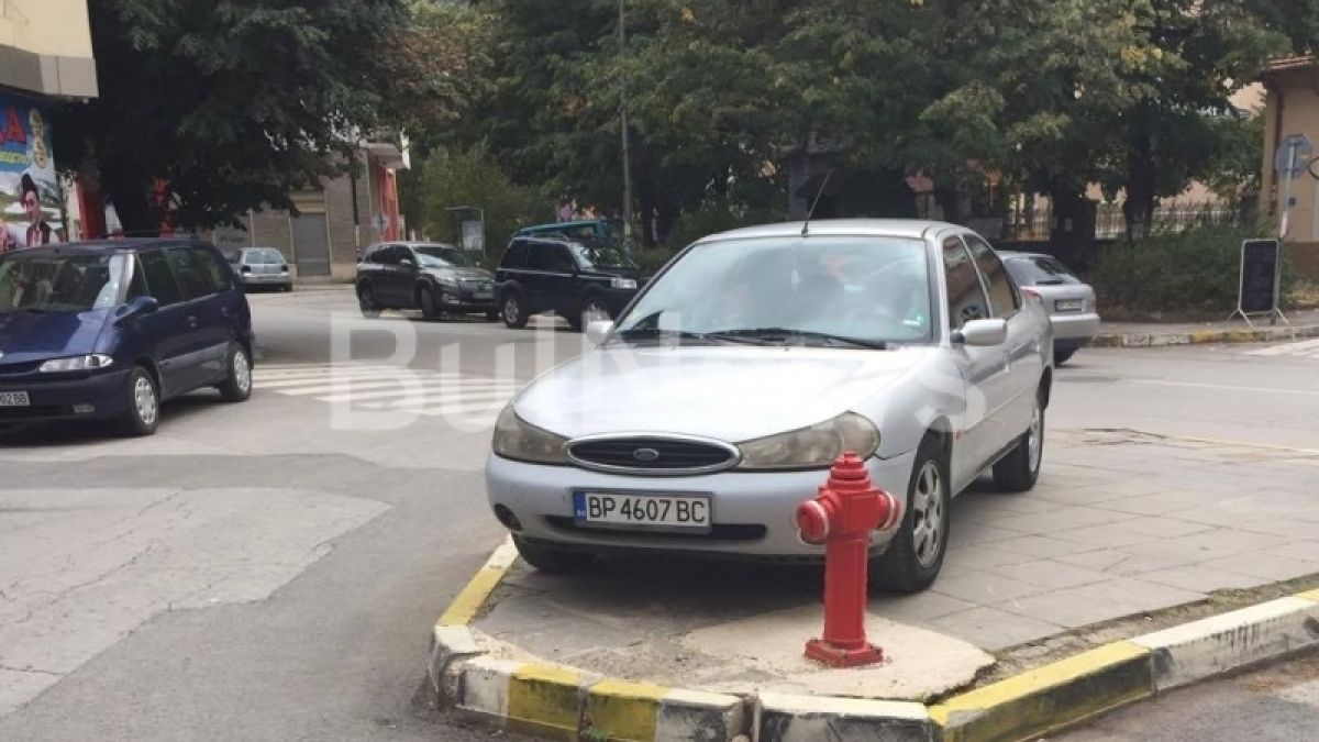 Този нагъл врачанин счупи всички рекорди (СНИМКИ)