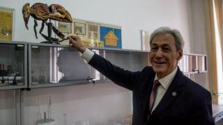 Експертът Валерий Лукбанов във в."Доктор": Пчелната отрова е токсична, но има чудодейни лечебна свойства