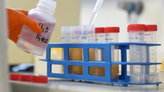 EС предупреждава за олово и фипронил в българските храни