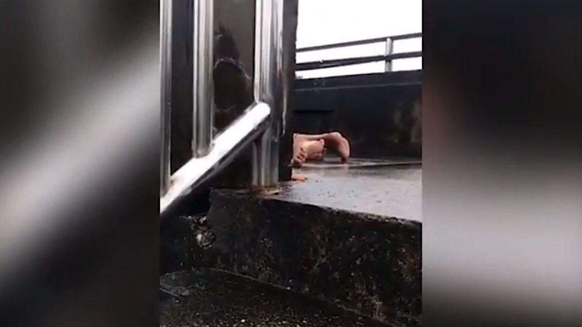Страстна двойка се впусна в сексуални ласки на мост посред бял ден, блокираха движението (СНИМКИ/ВИДЕО 18+)