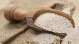5 нови и необичайни източници на белтъчини