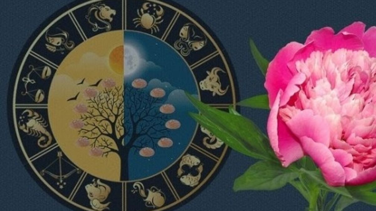 Хороскоп от щастливите растения на зодиакалния знак. Те ще ви донесат късмет!