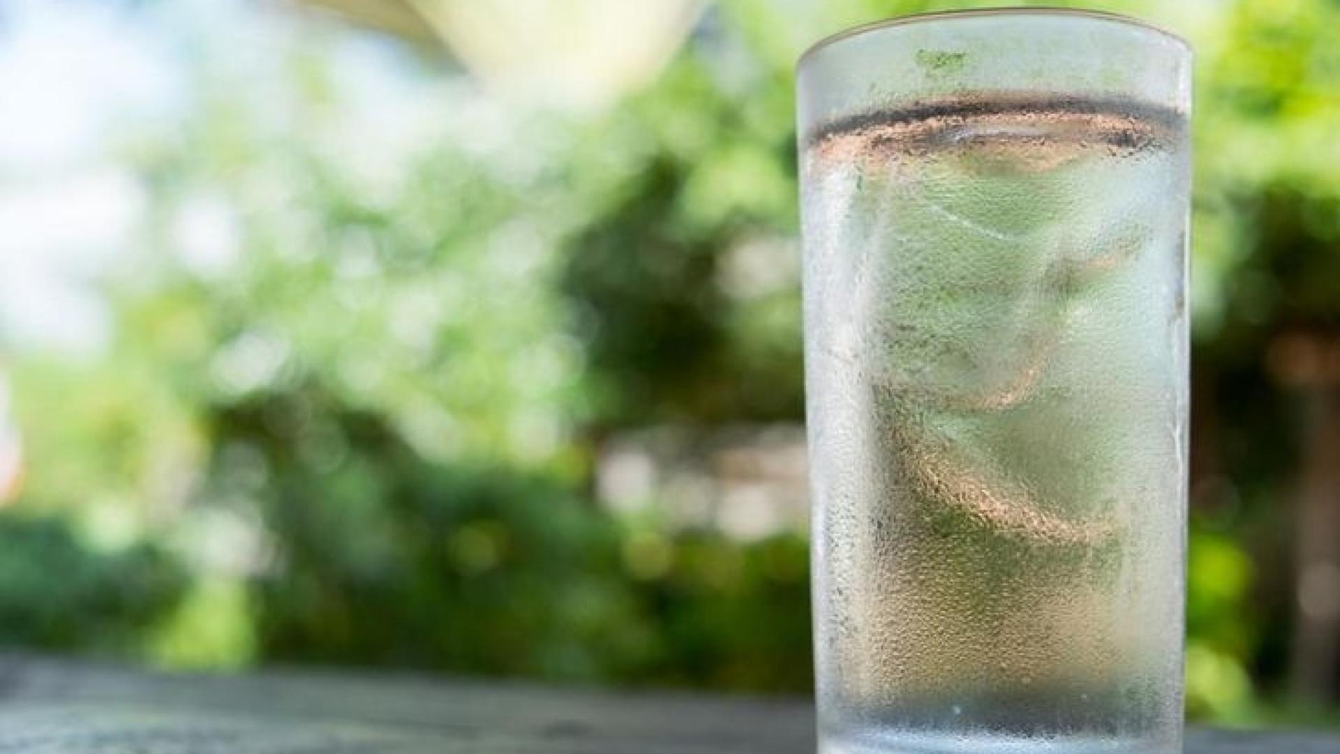 Проф. Байкова бие тревога, ако пием биричка, трябва да...