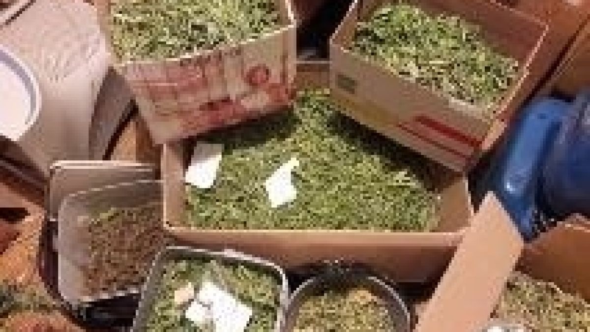 Спецакция на ГДБОП и ченгета от 4 града! Неутрализираха опасни бандюги, криели бойни запаси от карабина, заглушители и... (СНИМКИ)
