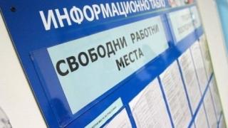 Много важна информация: Вижте свободните работни места в целия Северозапад
