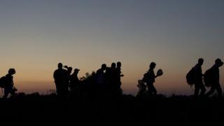 Каналджии зарязаха болен бежанец, откриха трупа му на 70 метра от граничната пирамида
