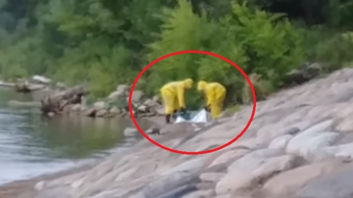 ВИДЕО с тайна операция по залавянето на русалка в Минесота се появи в мрежата