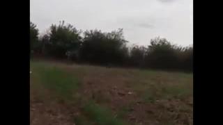 Гоблин изскочи от дърво и шокира момичета (ВИДЕО)