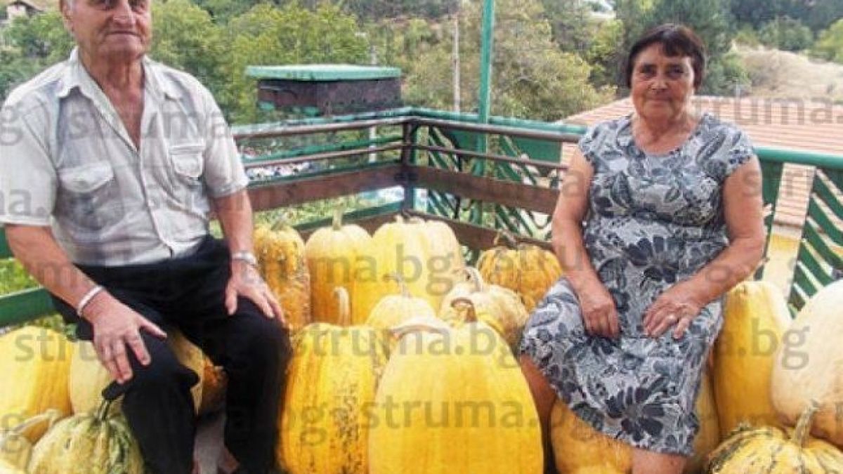 Бивш пощаджия и съпругата му събраха очите на съселяните си с реколтата, която извадиха от градината си (СНИМКА)
