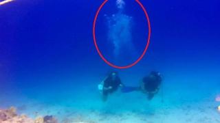 Британски турист показа страховита СНИМКА от дълбините на Червено море