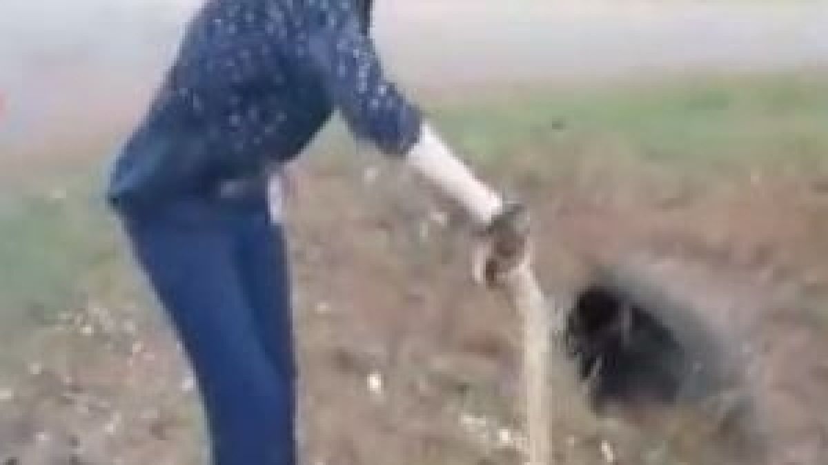 Храбра полицайка се справи с огромно влечуго (ВИДЕО)