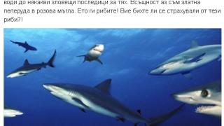 Слави направи интересна лична изповед, водеща според някои до зловещи последици (СНИМКА)