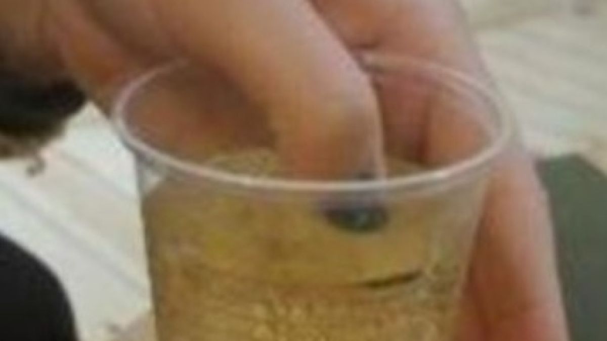 Дами, пъхнете лакирания си пръст в питието, което консумирате в бара! Ако смени цвета си - ВЕДНАГА се обадете на полиция