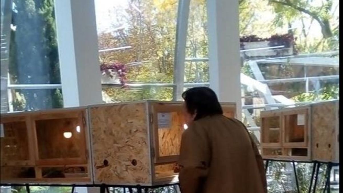 Интернет е взривен от родната история на жената, която не спира да учи 