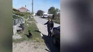 Изрод! Тутраканец тренира бойното си куче с “жива стръв“ - коте, и то пред малко дете (БРУТАЛНО ВИДЕО)