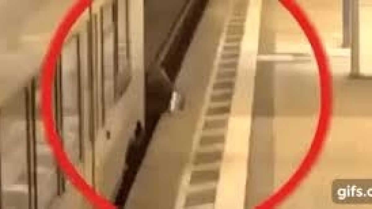 Пътник се опита да претича през релсите на метрото, но бе смазан между мотрисата и перона (УЖАСЯВАЩО ВИДЕО)