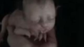 Странно ВИДЕО на котенце с детско лице разбуни духовете в Малайзия, хората настояват да узнаят истината за загадъчната твар 
